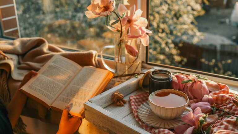 Soothing Wellness for Busy Minds: Newsletter Highlights