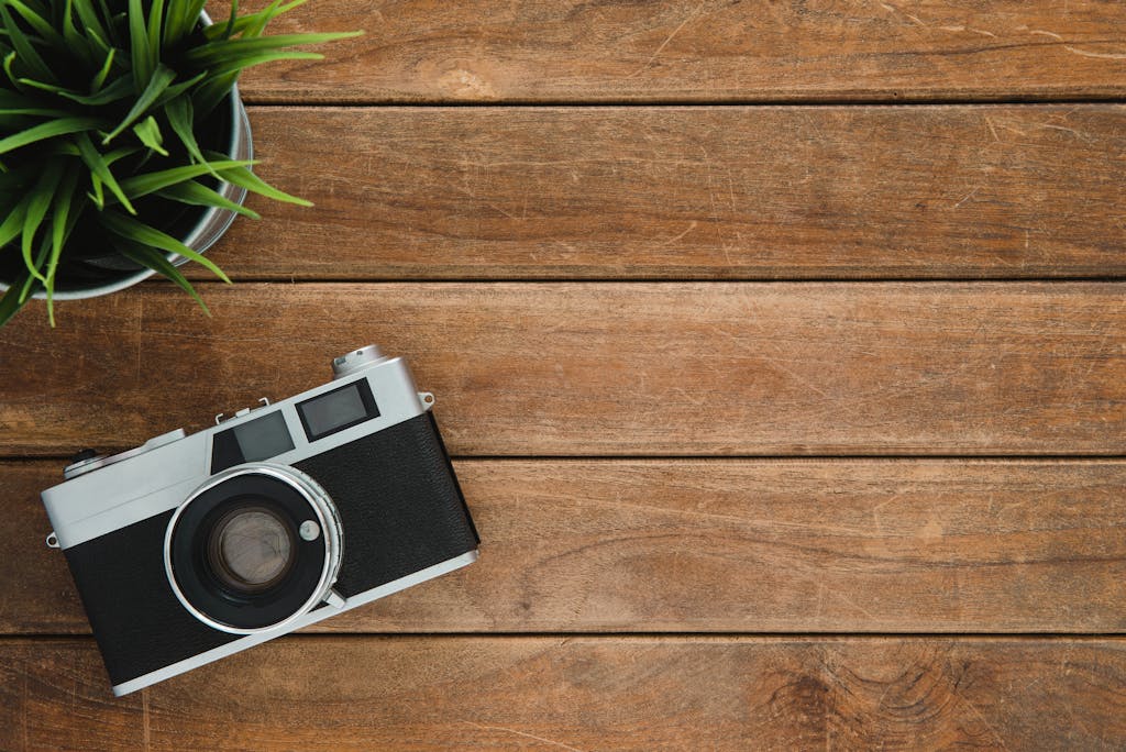 family travel budget- Retro camera and potted plant on wooden surface with copy space.
